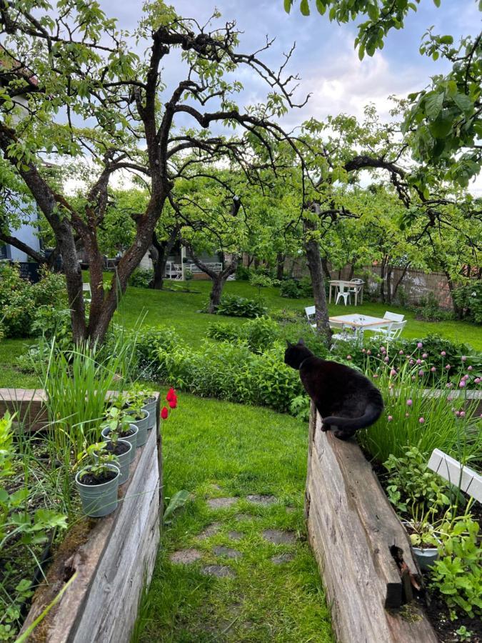 Przechowalnia Marzen- Adults Only Homestay