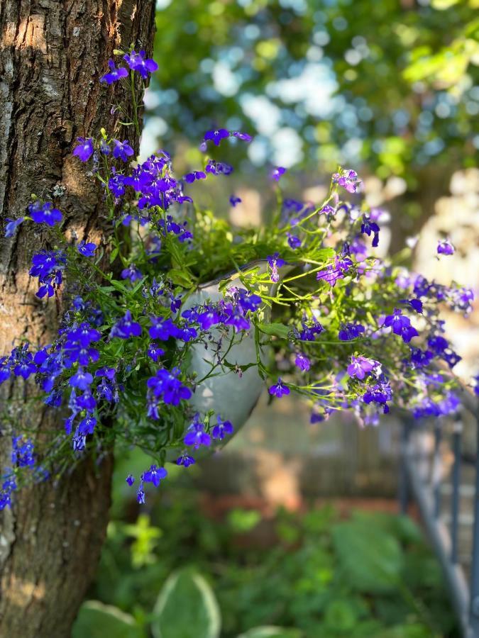 Przechowalnia Marzen- Adults Only Homestay